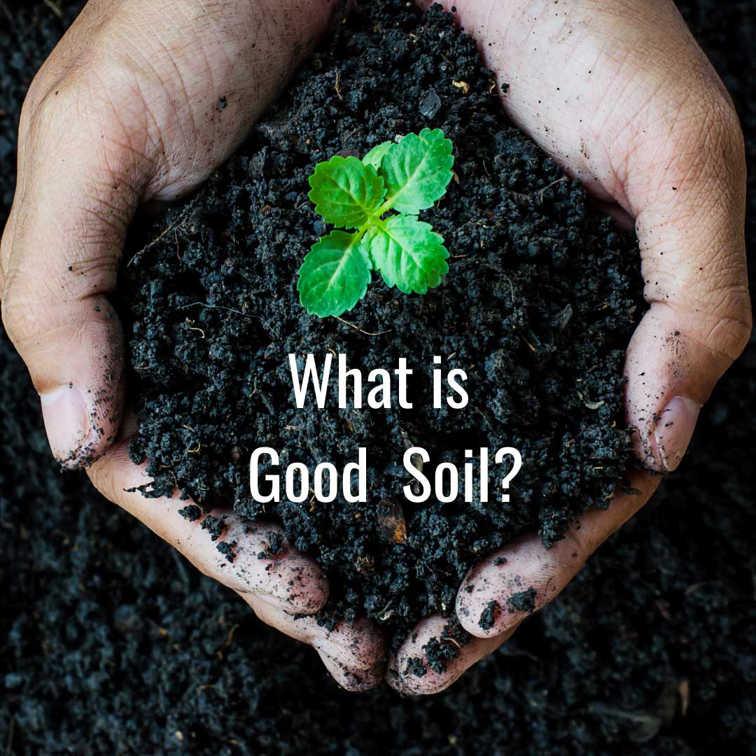 A person holds dark soil with a small green plant. Text reads: "What is Good Soil?" Highlighting healthy growth.