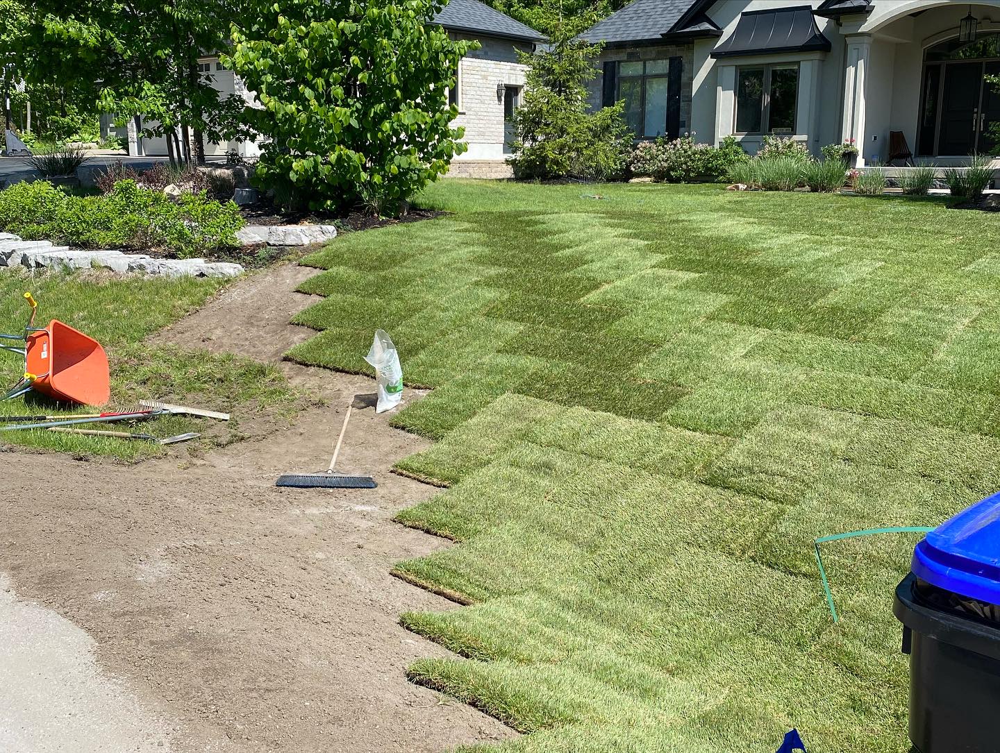 A home with newly laid sod grass, tools, and a wheelbarrow nearby. Landscaping work in progress, surrounded by bushes and a tree.