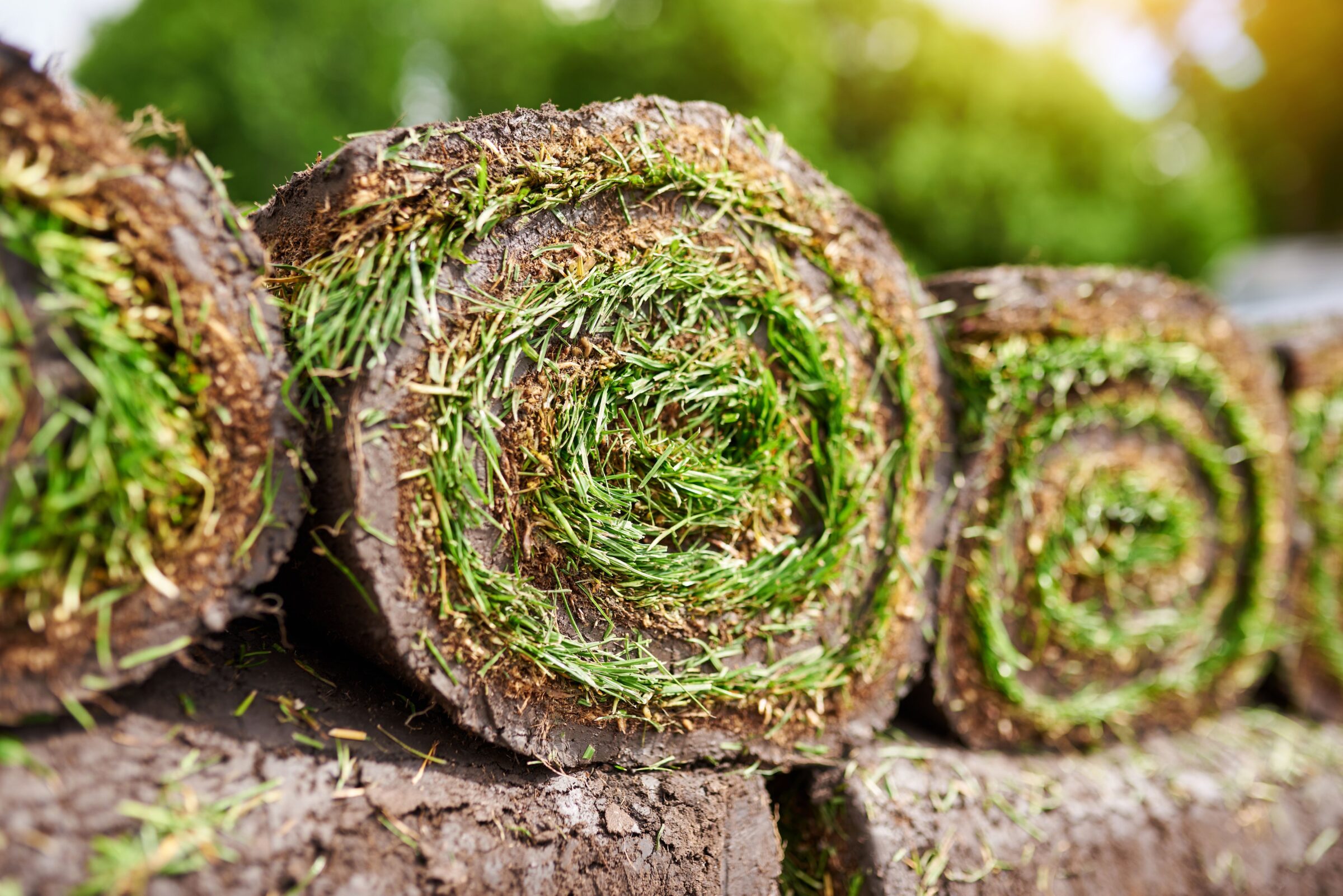 A stack of sod rolls