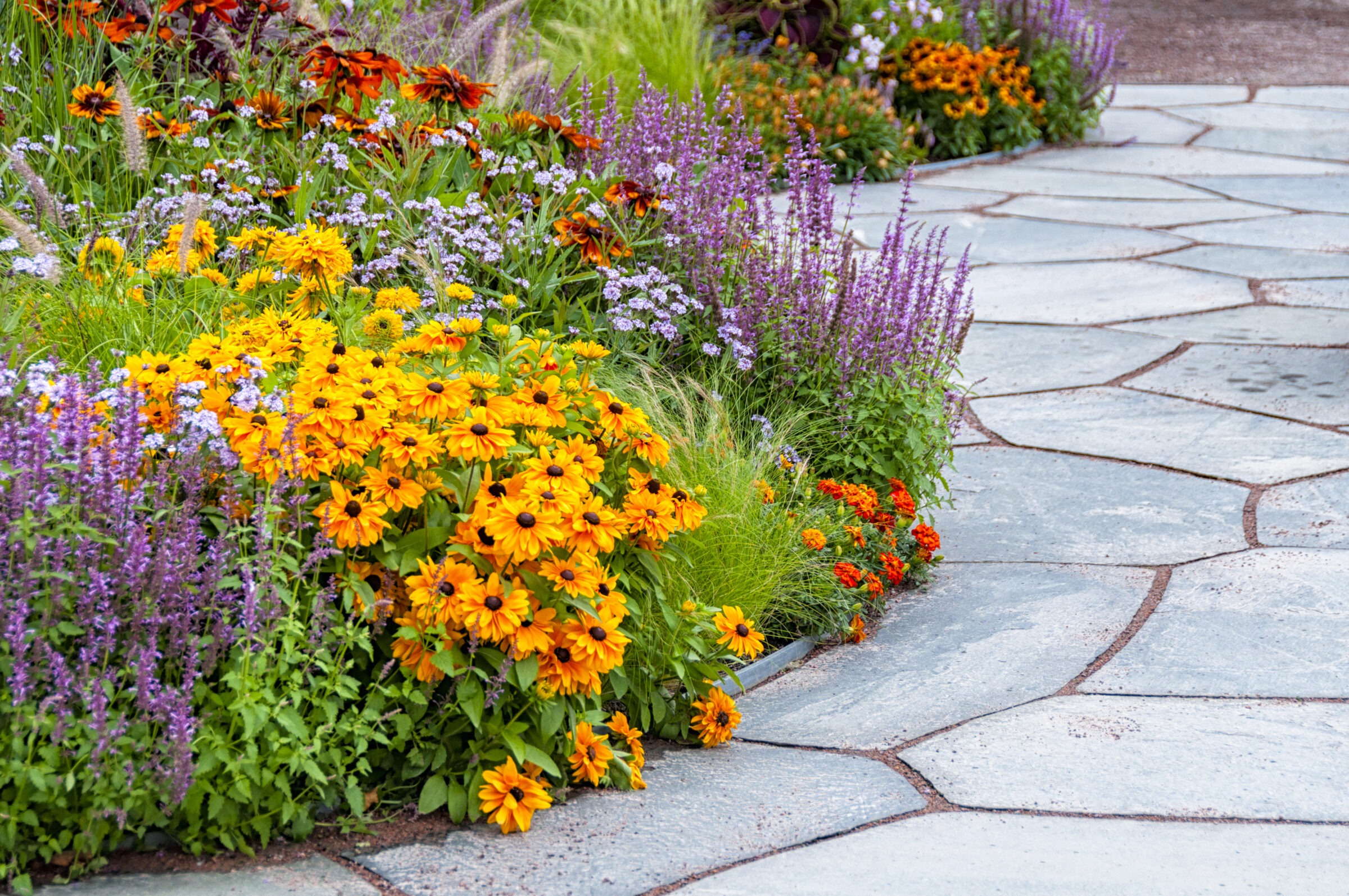 Colorful garden with yellow, purple, and orange flowers lining a stone walkway. Vibrant foliage and blooming plants create a picturesque, serene setting.
