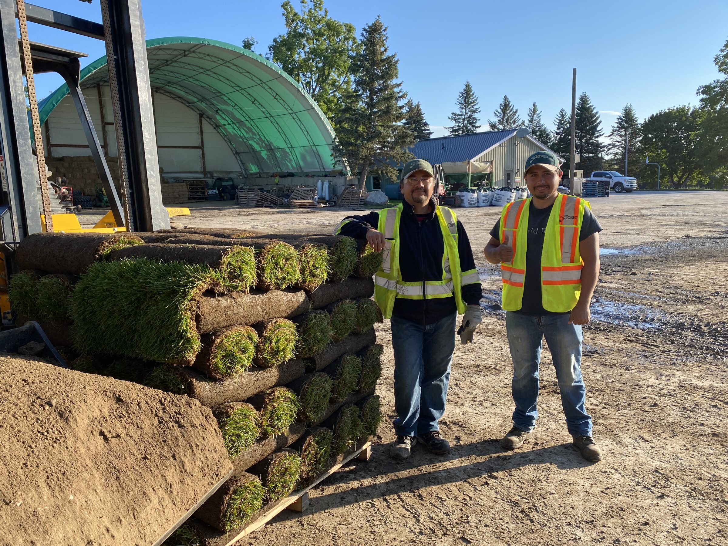 Two people in safety vests standing beside grass rolls at a construction site with a large canopy and trees in the background.