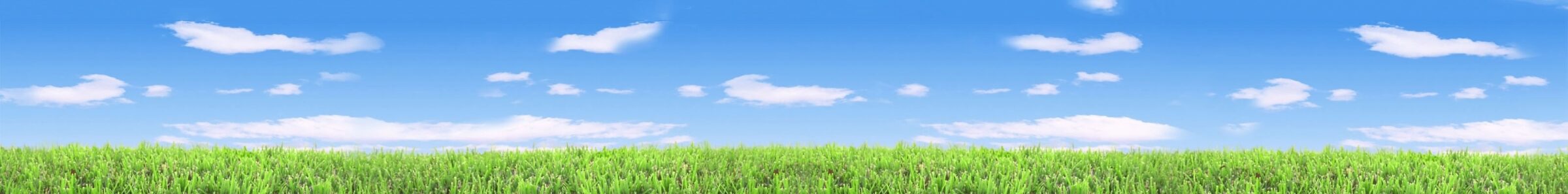 A clear blue sky with scattered white clouds above a field of vibrant green grass, creating a serene and peaceful landscape.