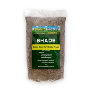 Bag of grass seed labeled "Fairgreen Sod Farms," suitable for shady areas, contains Kentucky Bluegrass, Creeping Red Fescue, and Perennial Ryegrass.