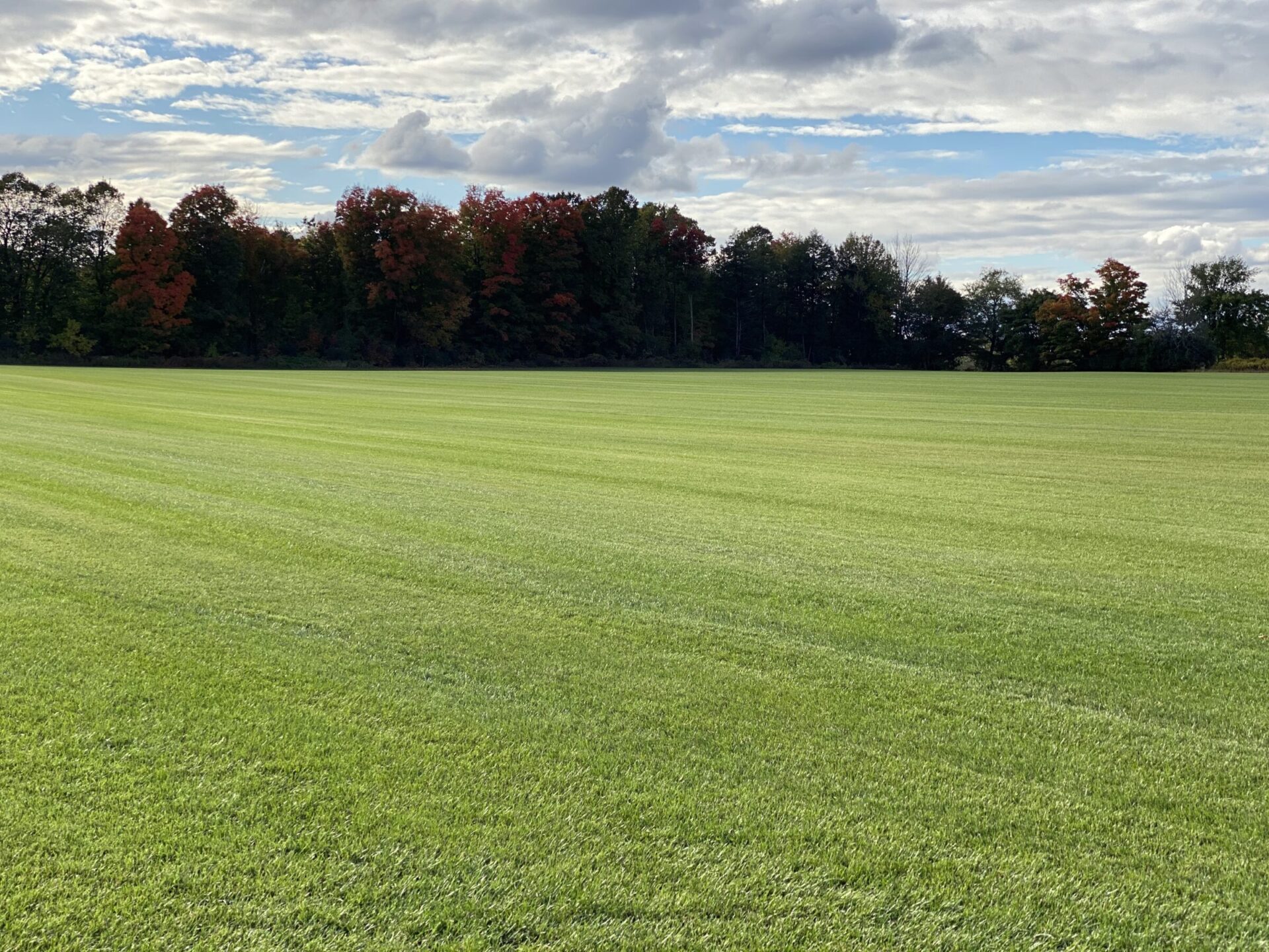 A lush, green field stretches under a partly cloudy sky, bordered by trees with autumn foliage in the background.