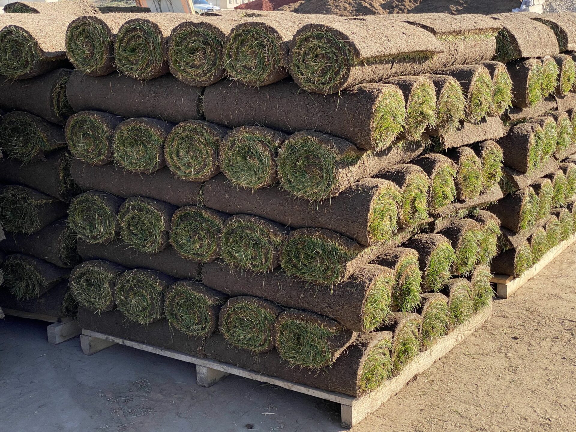 Rolls of sod stacked neatly on wooden pallets, ready for landscaping. Sunlight highlights the grass and brown soil in outdoor setting.