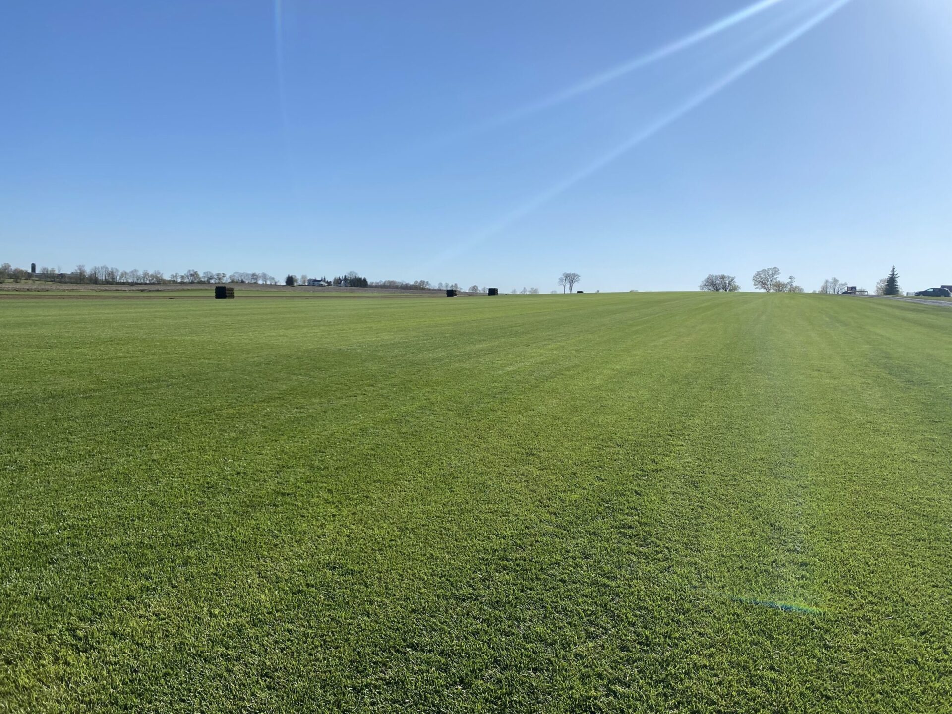 Wide expanse of green grass under a clear blue sky, with distant trees and structures on the horizon. No people are visible.