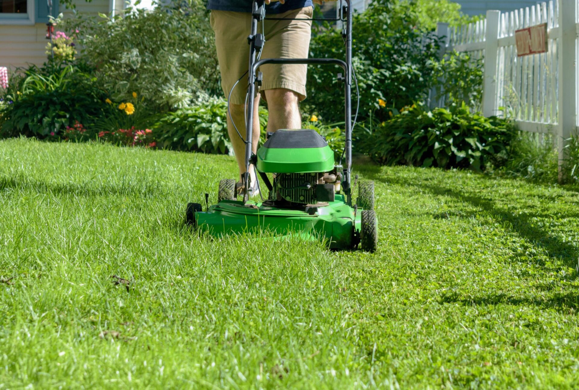 A person is mowing a lush green lawn with a vibrant green lawnmower, surrounded by blooming flowers and a white picket fence.