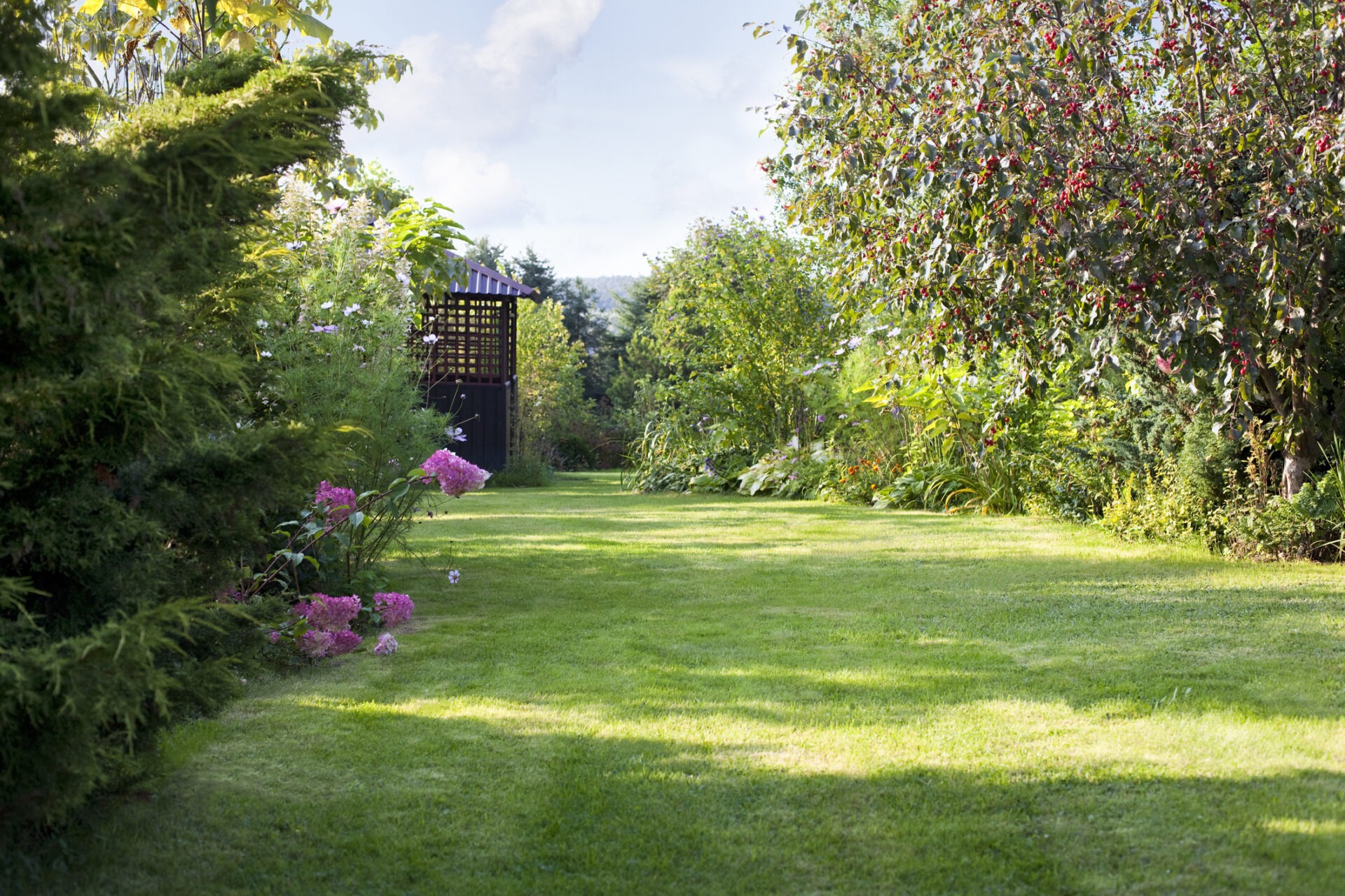 A lush garden with green grass, colorful flowers, trees, and a wooden pergola under a blue sky, creating a peaceful outdoor scene.