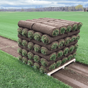 skid of sod rolls