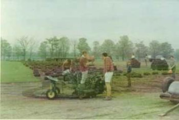 Several people working in a field with machinery and plants. Trees stand in the background, and the scene appears calm and industrious.