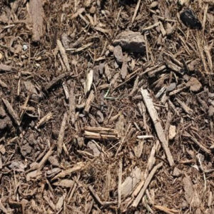 Dry mulch with wood chips and twigs scattered across the surface, providing texture and a natural background for gardening or landscaping projects.