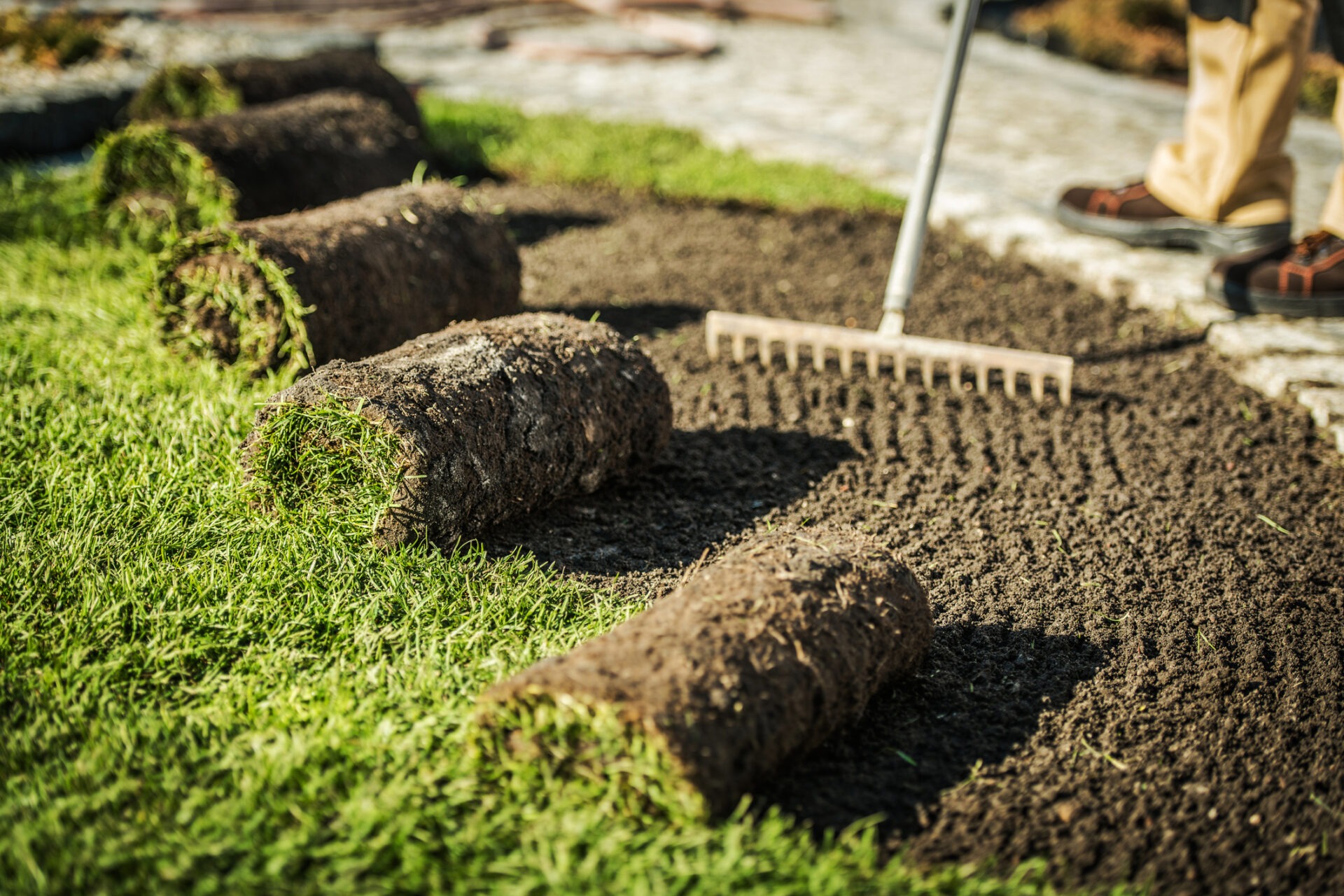 A person in boots uses a rake to spread soil with rolled sod on a sunny day, creating a new lawn.