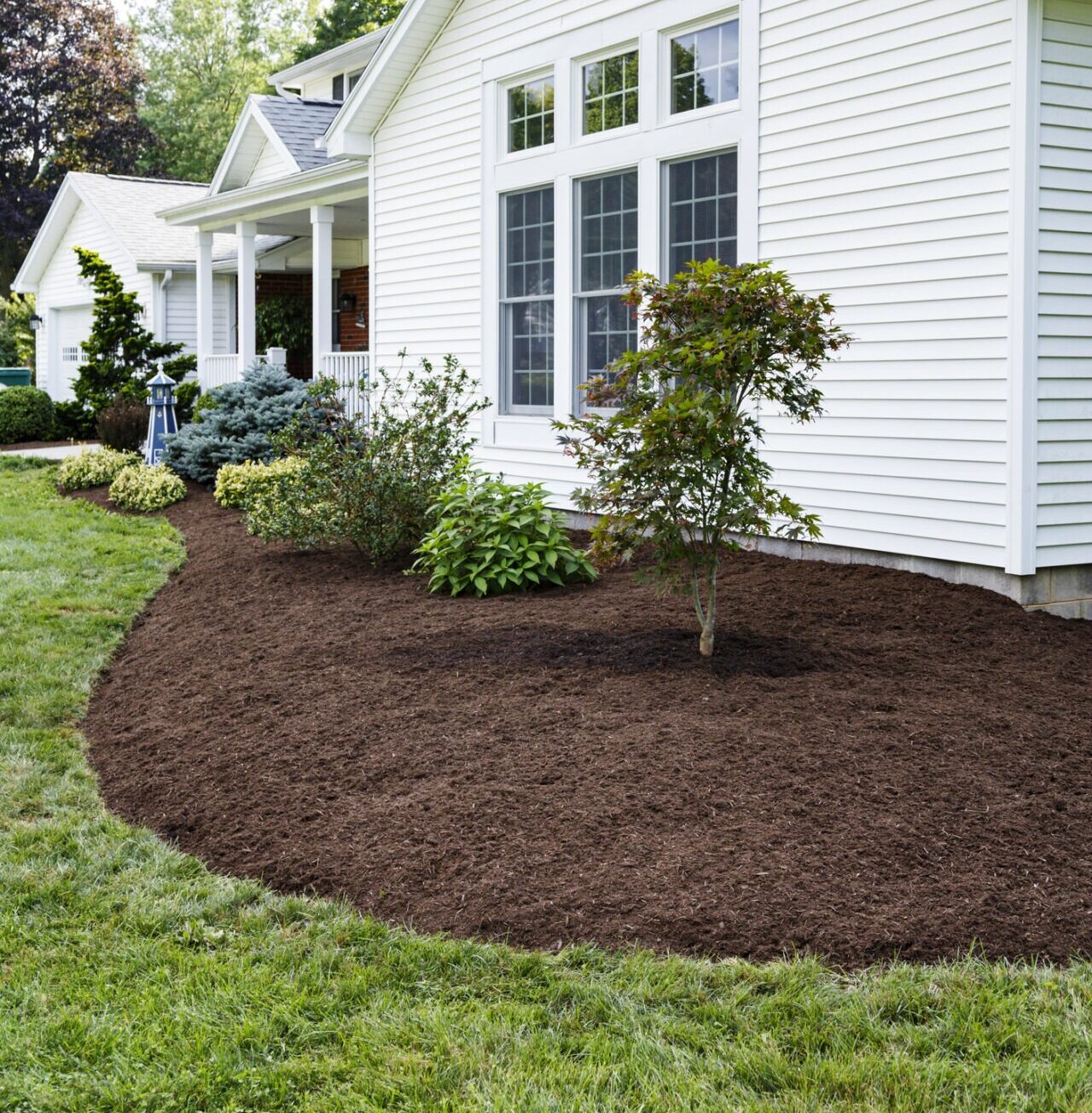 Freshly mulched garden