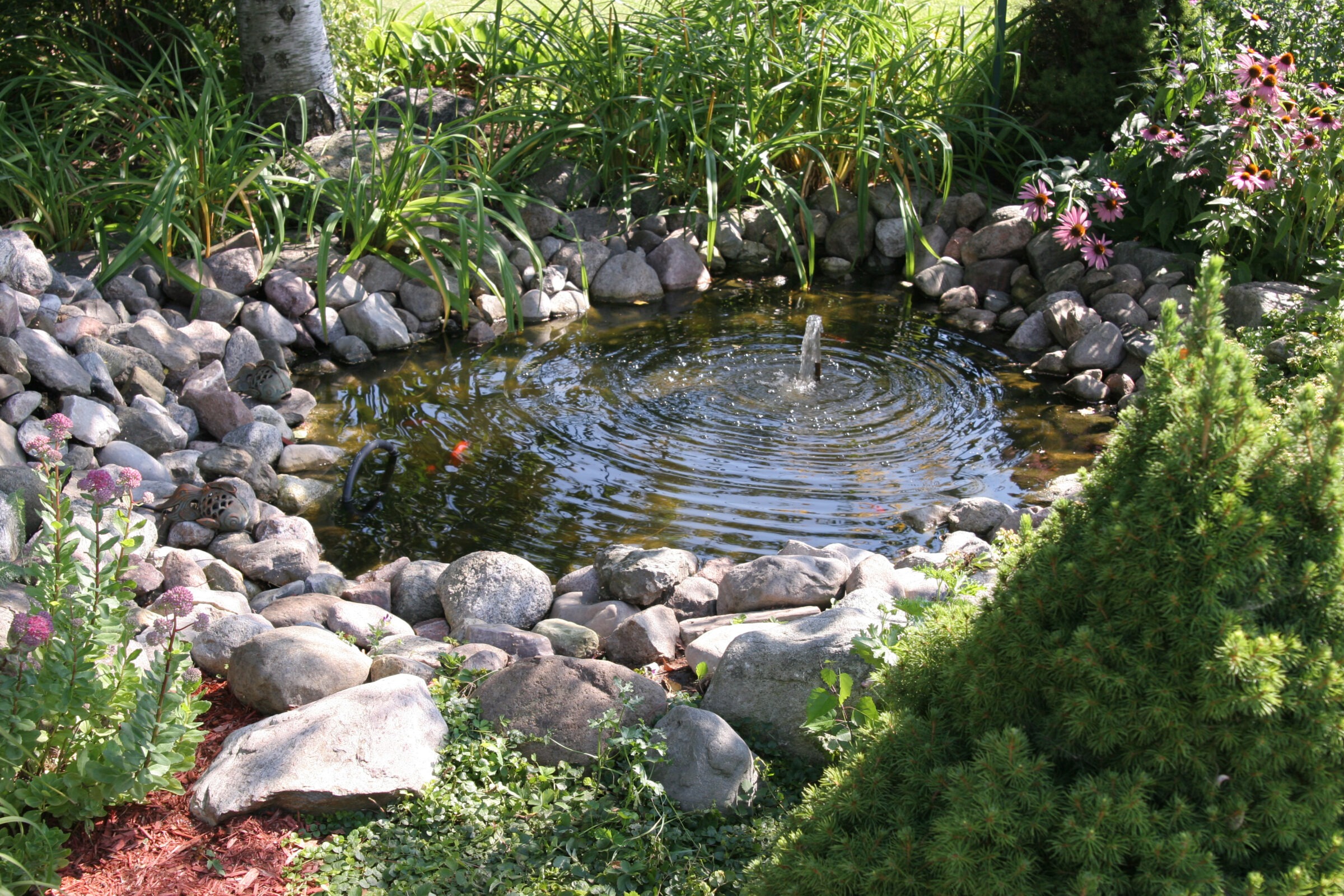 A small, serene garden pond with rocks, blooming flowers, and lush greenery surrounding a central water fountain under a tree.