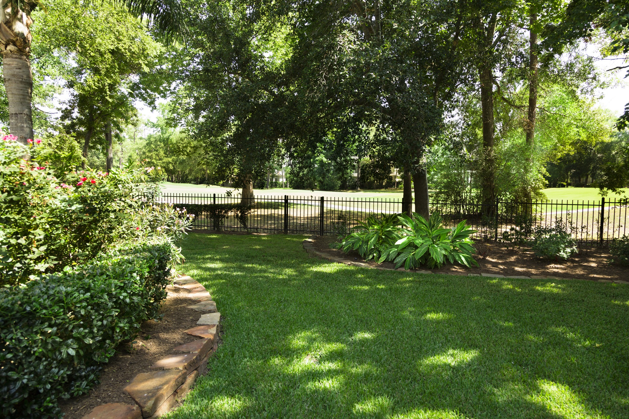 A lush garden with green lawn, bushes, trees, and a black metal fence, under a sunny sky, providing a tranquil outdoor setting.
