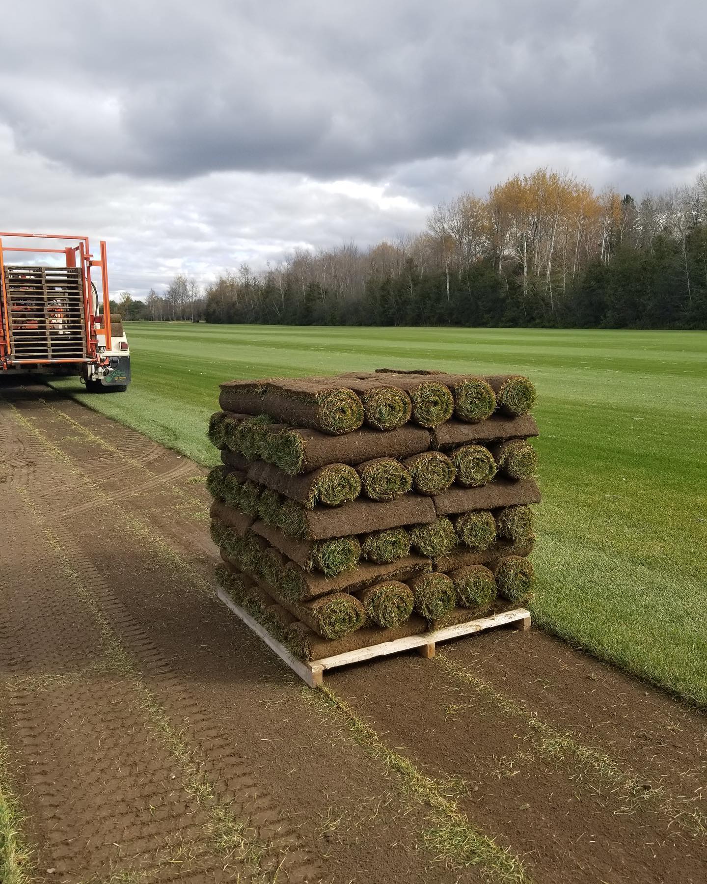 Pallet of rolled sod in an open field near a truck, with overcast skies and tree line in the background.