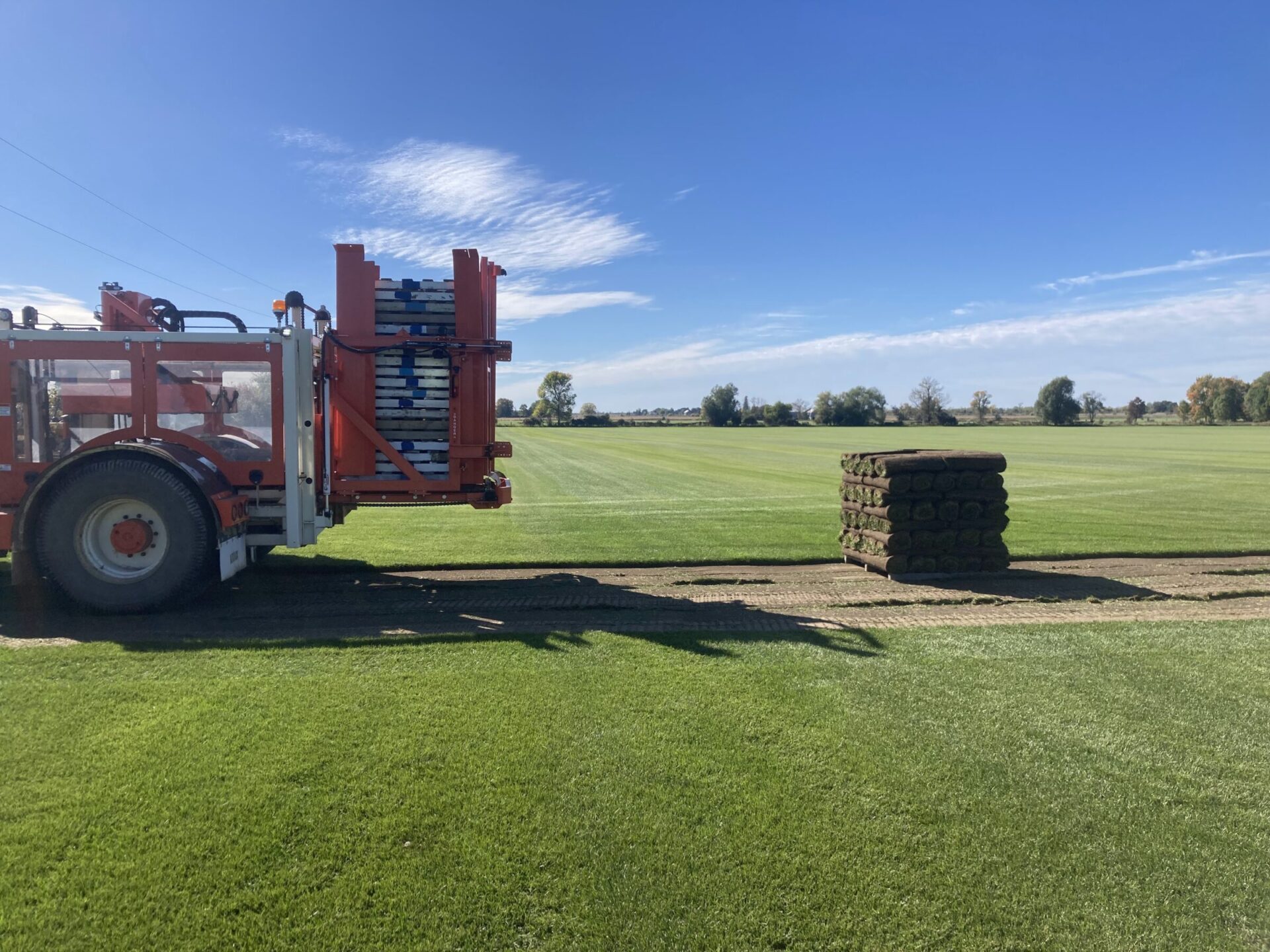 A sod harvesting machine in a large, open field with neatly stacked turf rolls under a clear blue sky. No landmarks visible.