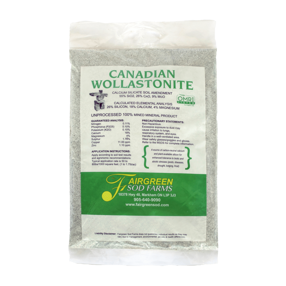 Wollastonite